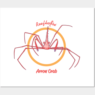 Arrow Crab Posters and Art